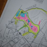 Wetland plan